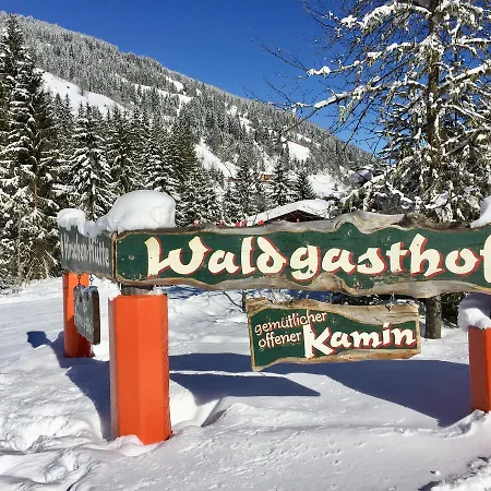 Berghof Tauerngold Holiday home *