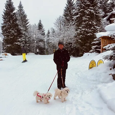 Berghof Tauerngold Holiday home